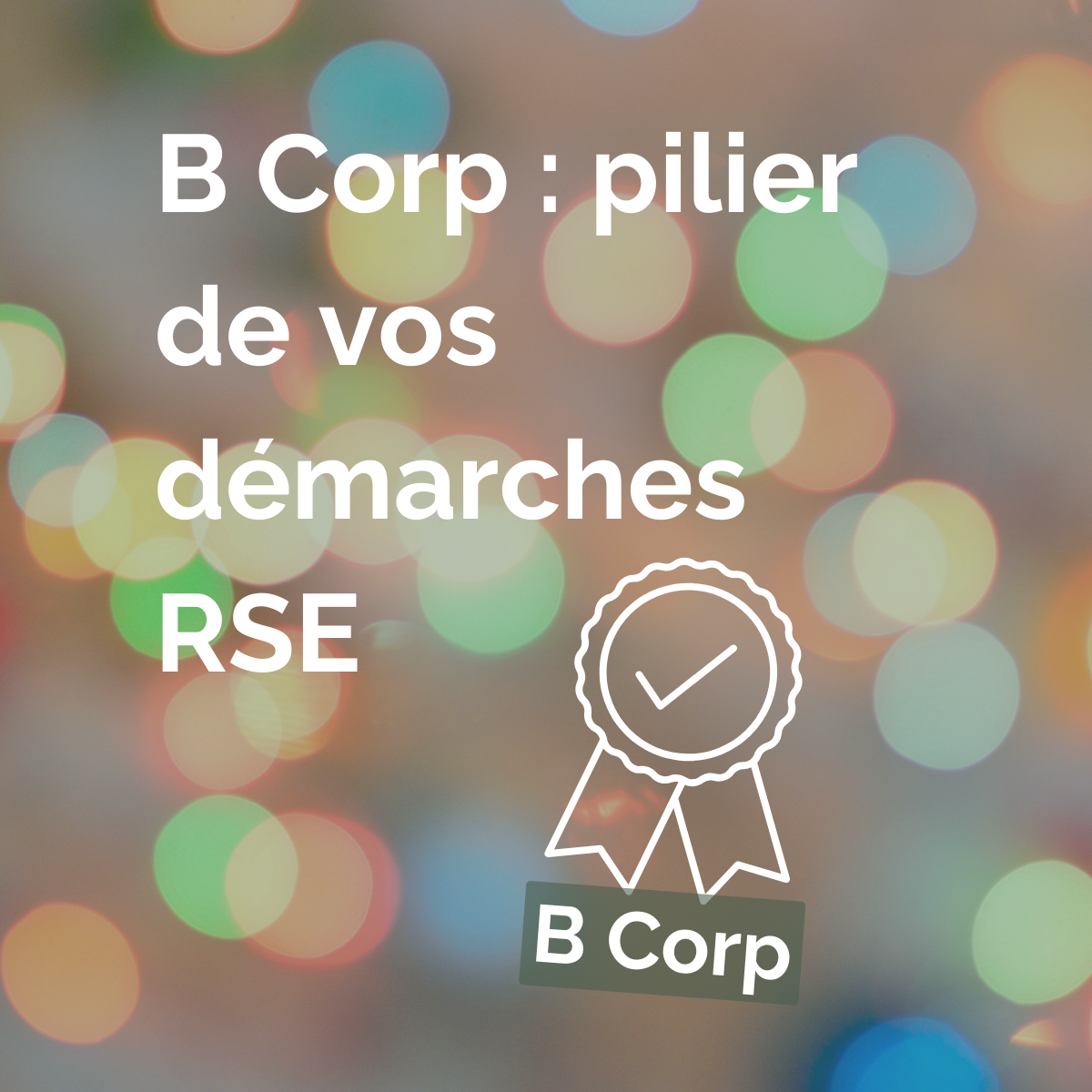 Lire la suite à propos de l’article B Corp sera le pilier de votre démarche RSE